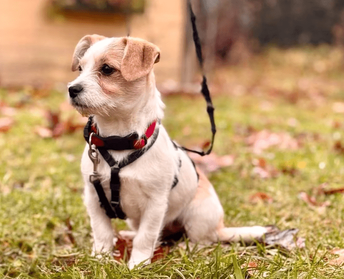 2025 11 21 11 25 09 Posteingang Sina.Rieke Kroeger@oetker.com Outlook