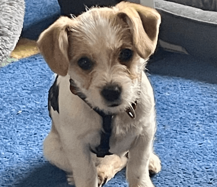 2025 11 21 11 25 14 Posteingang Sina.Rieke Kroeger@oetker.com Outlook