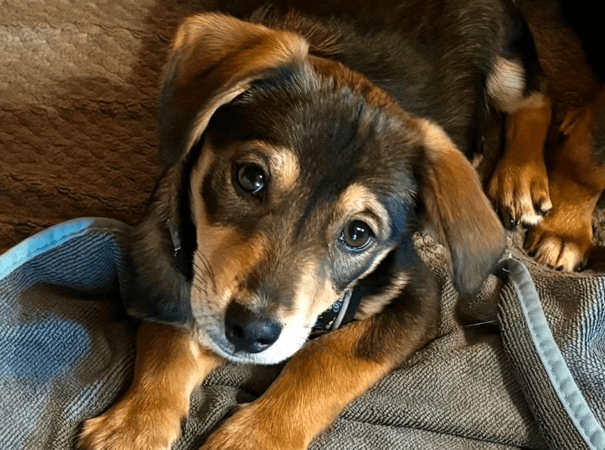 2025 11 21 11 32 03 Posteingang Sina.Rieke Kroeger@oetker.com Outlook