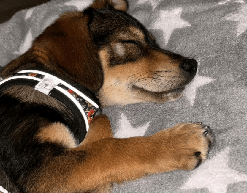 2025 11 21 11 32 12 Posteingang Sina.Rieke Kroeger@oetker.com Outlook