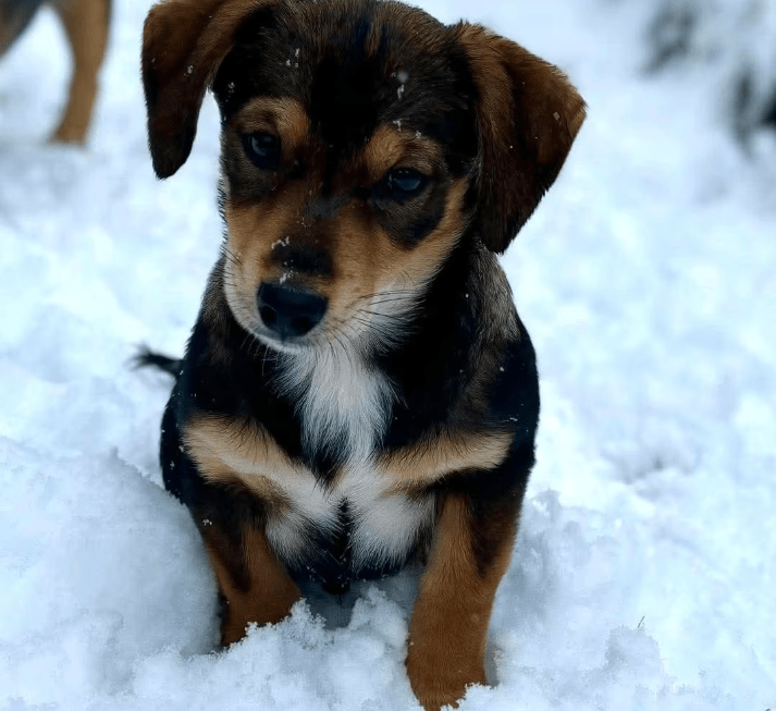 2025 11 21 11 32 38 Posteingang Sina.Rieke Kroeger@oetker.com Outlook