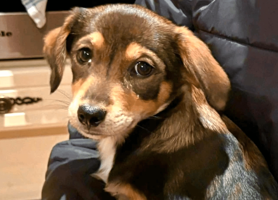 2025 11 21 11 32 42 Posteingang Sina.Rieke Kroeger@oetker.com Outlook