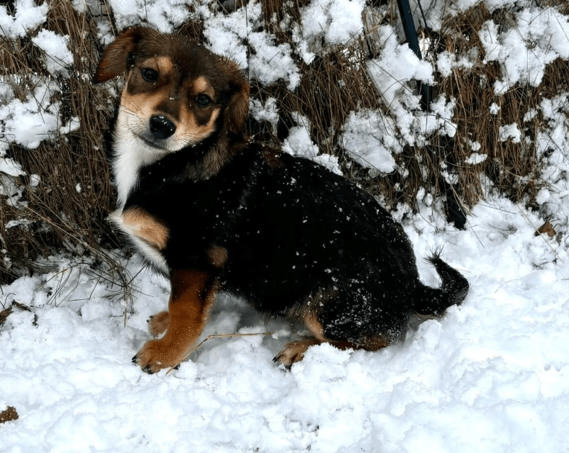 2025 11 21 11 32 46 Posteingang Sina.Rieke Kroeger@oetker.com Outlook