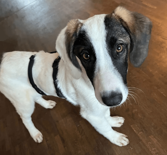 2025 12 02 10 51 33 Neue Rechnungen Bitte bearbeiten Nachricht (HTML)