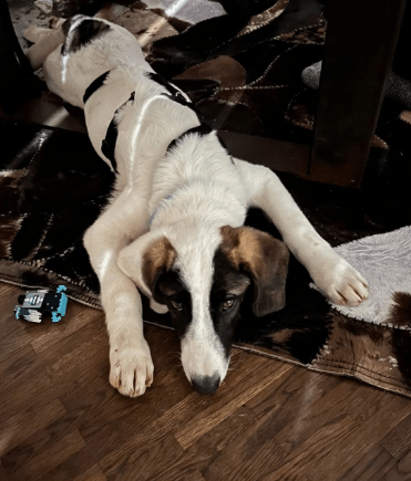 2025 12 02 10 51 38 Neue Rechnungen Bitte bearbeiten Nachricht (HTML)