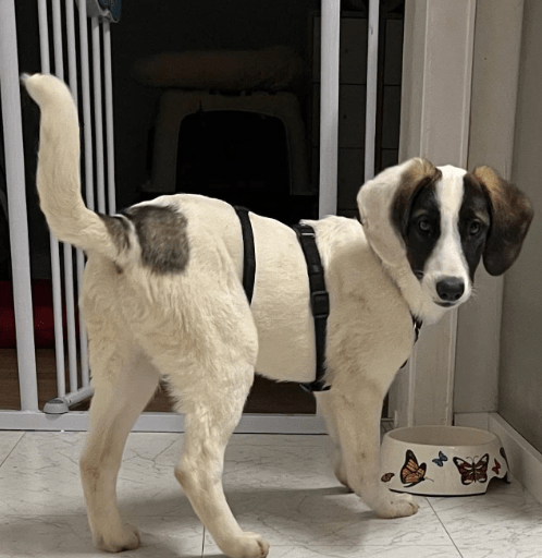 2025 12 02 10 51 45 Neue Rechnungen Bitte bearbeiten Nachricht (HTML)