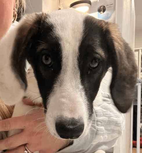 2025 12 02 10 51 49 Neue Rechnungen Bitte bearbeiten Nachricht (HTML)