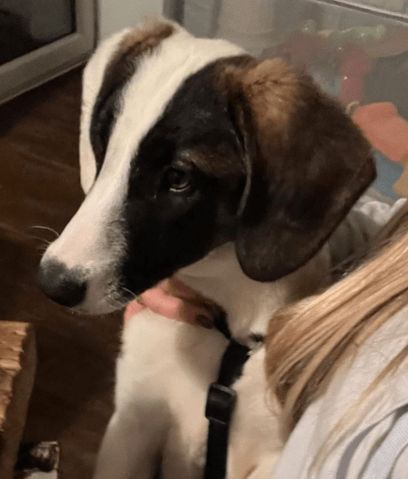 2025 12 02 10 51 54 Neue Rechnungen Bitte bearbeiten Nachricht (HTML)