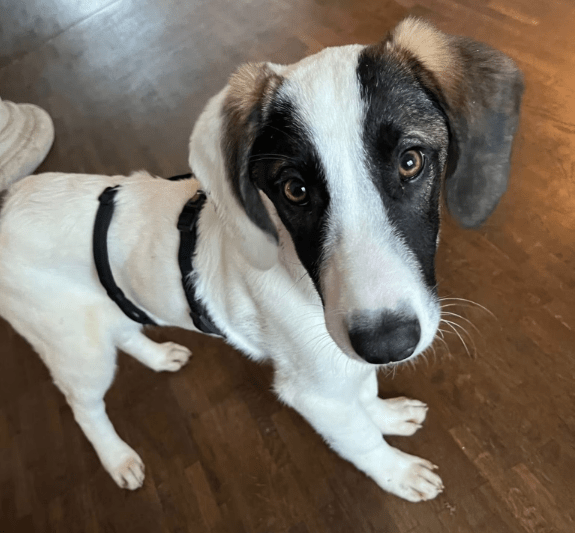 2025 12 02 10 52 00 Neue Rechnungen Bitte bearbeiten Nachricht (HTML)