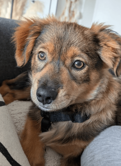 2025 12 17 09 07 44 Unbenannt Besprechung