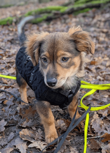 2025 12 17 09 07 49 Unbenannt Besprechung