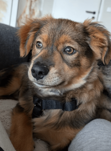 2025 12 17 09 07 52 Unbenannt Besprechung