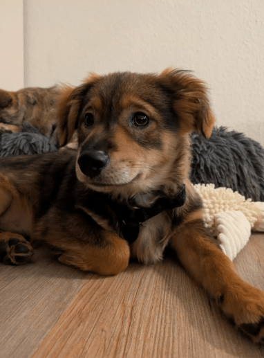 2025 12 17 09 07 56 Unbenannt Besprechung