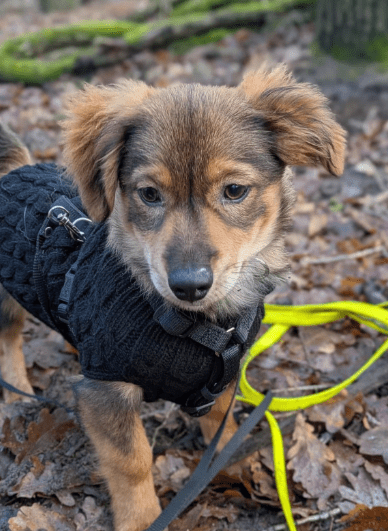 2025 12 17 09 08 05 Unbenannt Besprechung