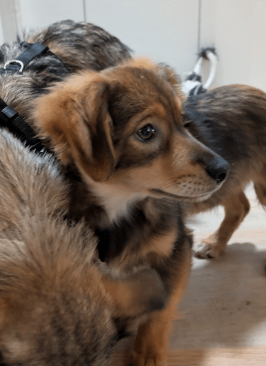 2025 12 17 09 08 09 Unbenannt Besprechung