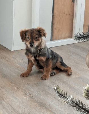 2025 12 17 09 08 13 Unbenannt Besprechung