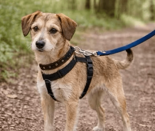 2025 12 19 11 24 47 Posteingang Sina.Rieke Kroeger@oetker.com Outlook