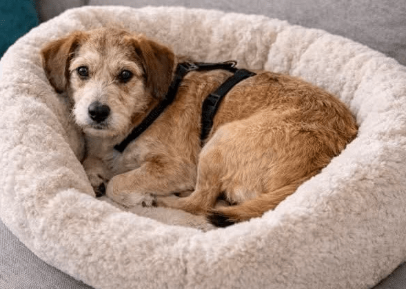 2025 12 19 11 24 50 Posteingang Sina.Rieke Kroeger@oetker.com Outlook