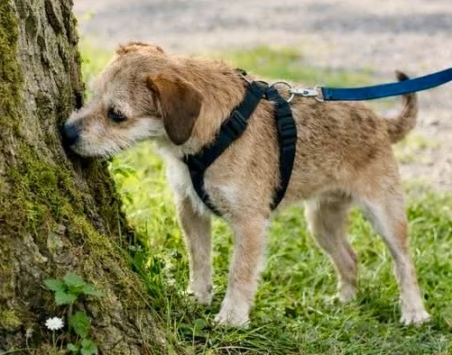 2025 12 19 11 24 57 Posteingang Sina.Rieke Kroeger@oetker.com Outlook