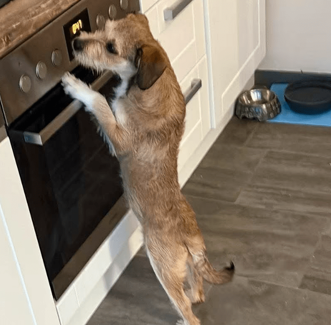 2025 12 19 11 25 02 Posteingang Sina.Rieke Kroeger@oetker.com Outlook