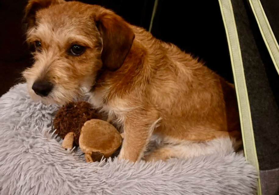 2025 12 19 11 25 07 Posteingang Sina.Rieke Kroeger@oetker.com Outlook