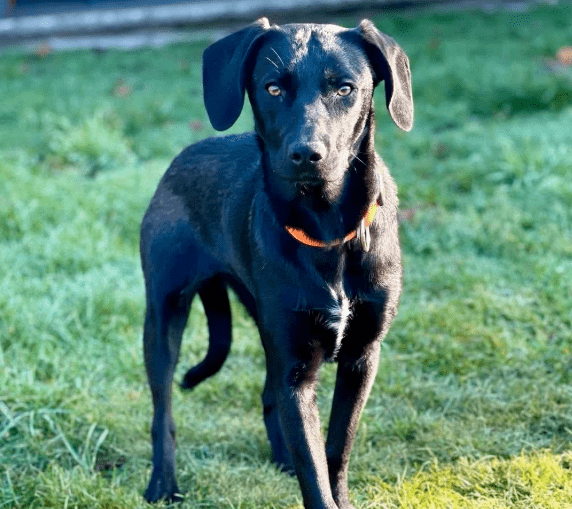 2026 01 19 09 39 10 Quick Alignment New Marketing Project Besprechung