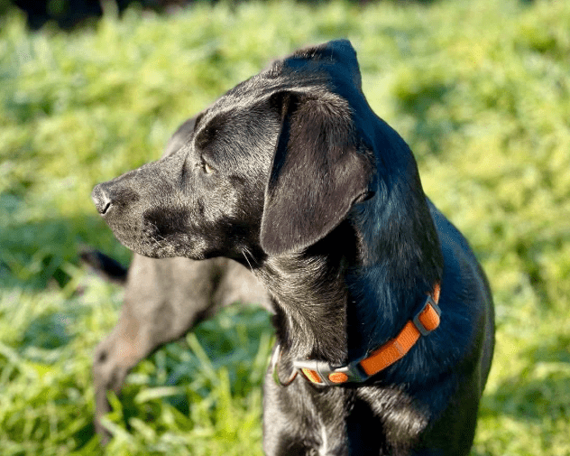 2026 01 19 09 39 15 Quick Alignment New Marketing Project Besprechung