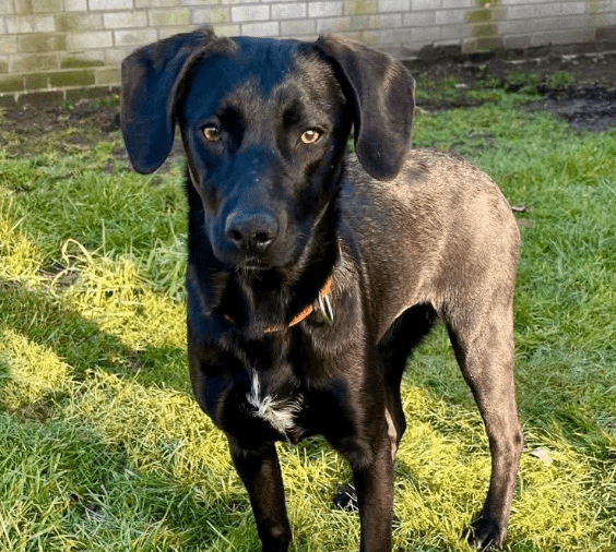 2026 01 19 09 39 20 Quick Alignment New Marketing Project Besprechung