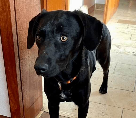 2026 01 19 09 39 28 Quick Alignment New Marketing Project Besprechung