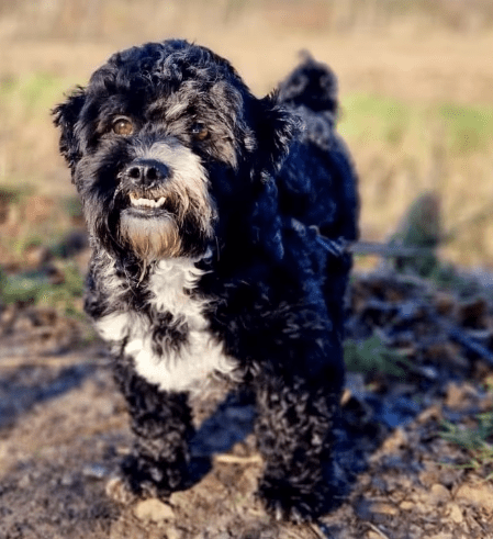 2026 01 23 18 26 17 Posteingang Sina.Rieke Kroeger@oetker.com Outlook