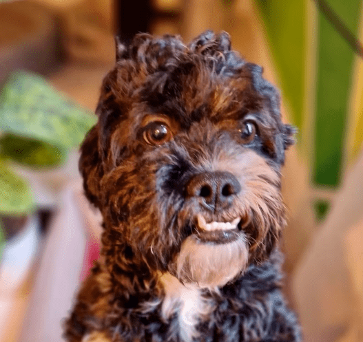 2026 01 23 18 26 21 Posteingang Sina.Rieke Kroeger@oetker.com Outlook