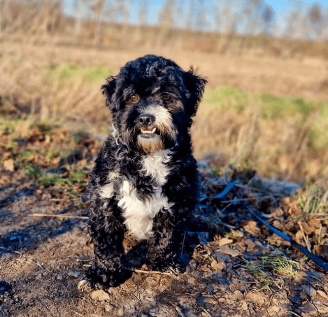 2026 01 23 18 26 26 Posteingang Sina.Rieke Kroeger@oetker.com Outlook