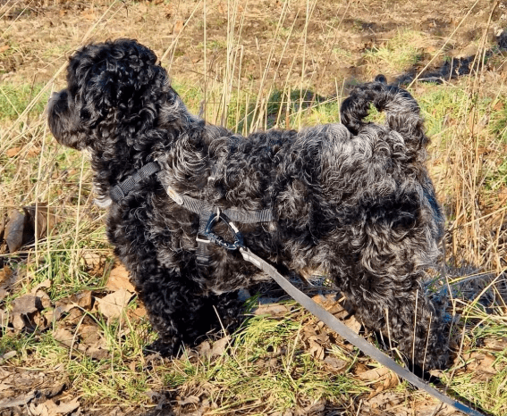 2026 01 23 18 26 31 Posteingang Sina.Rieke Kroeger@oetker.com Outlook