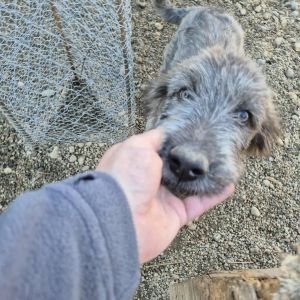 550915974 858332230098676 4234136215429965798 n