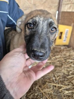 550930328 797998883110292 4066476711352551424 n