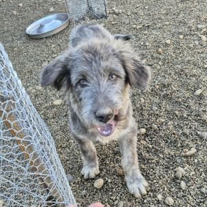 551493829 816882997624055 1093286756570530104 n