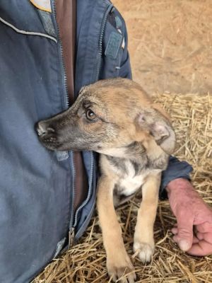 551751052 857748696587847 2726971591566355829 n