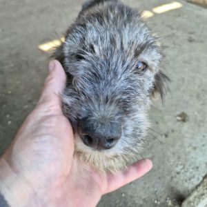 551812132 1324171055680138 7651311130675302645 n