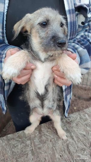 551843091 1207083351299807 9119071489874634412 n