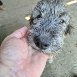 551941217 1148737386885657 232487860894683771 n