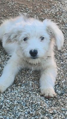 551960371 784802694556116 2018199833979795589 n