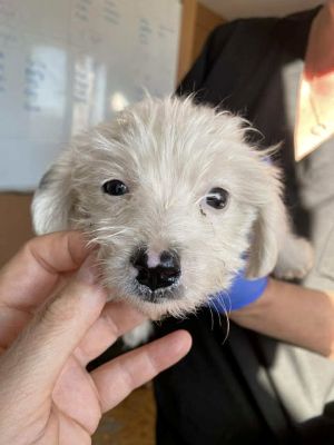 552639013 24719351301038797 3974748766507636822 n