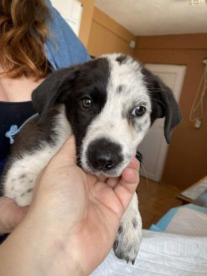 552754809 24719529051021022 5581133705180222282 n