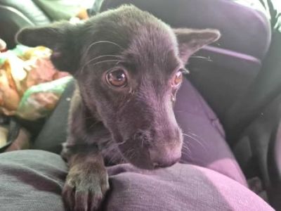 552813414 24719397691034158 7592070144314769565 n