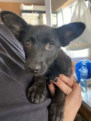 553096088 24719397364367524 3469586637135856241 n