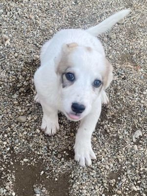 553106462 1491623668733613 3569257198917409110 n