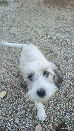 553241763 1514106609799455 5709341766218610809 n