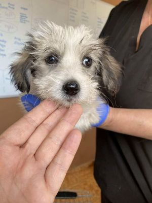 553248177 24719310291042898 1401000019881215925 n