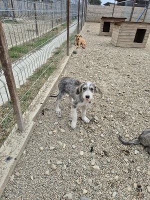 553443256 1128657308917064 5402666485258880890 n