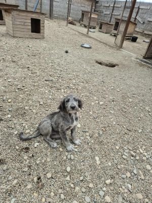 553453212 776038635059293 4195293807910794853 n